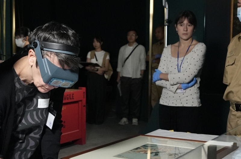 Exhibition support
